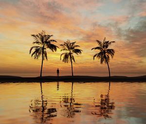 Preview wallpaper palm trees, silhouette, sea, water, sunset