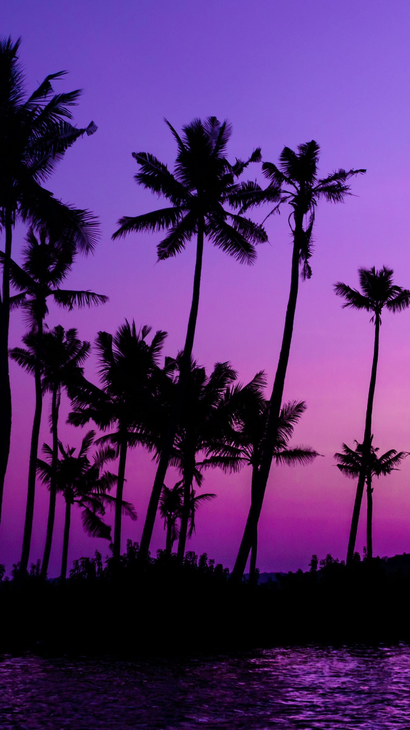 Download Wallpaper 1350x2400 Palm Trees Silhouette Sunset Purple