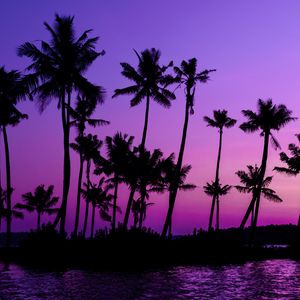 Preview wallpaper palm trees, silhouette, sunset, purple