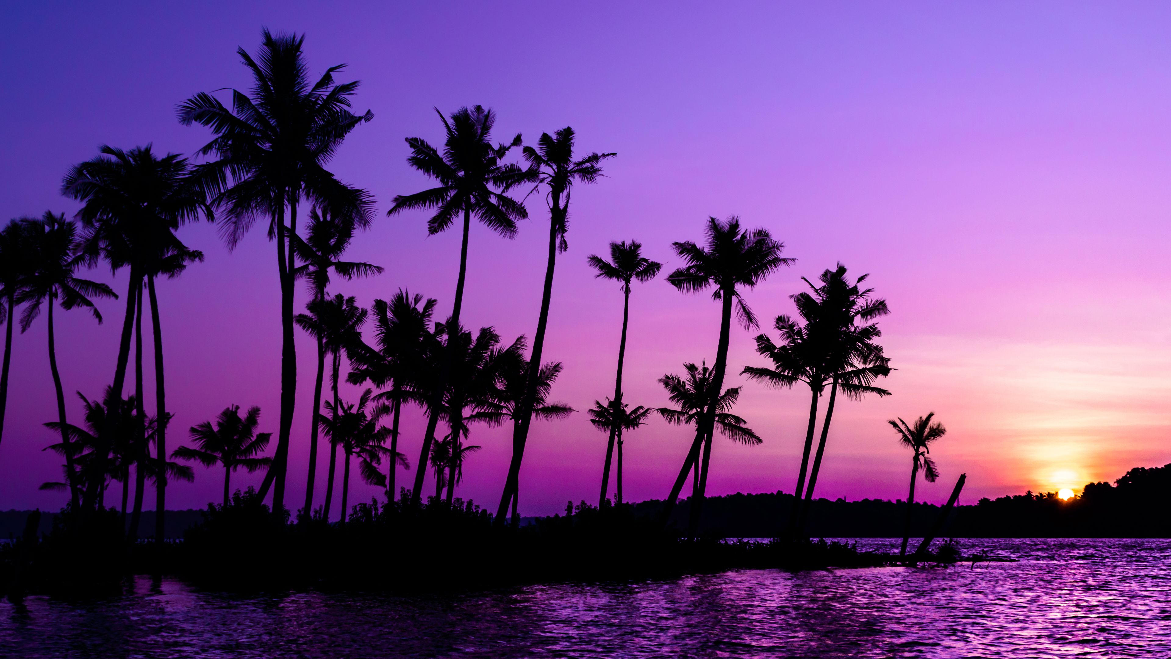 Download wallpaper 3840x2160 palm trees, silhouette, sunset, purple 4k