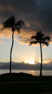 Preview wallpaper palm trees, silhouettes, coast, sea, sunset, dark