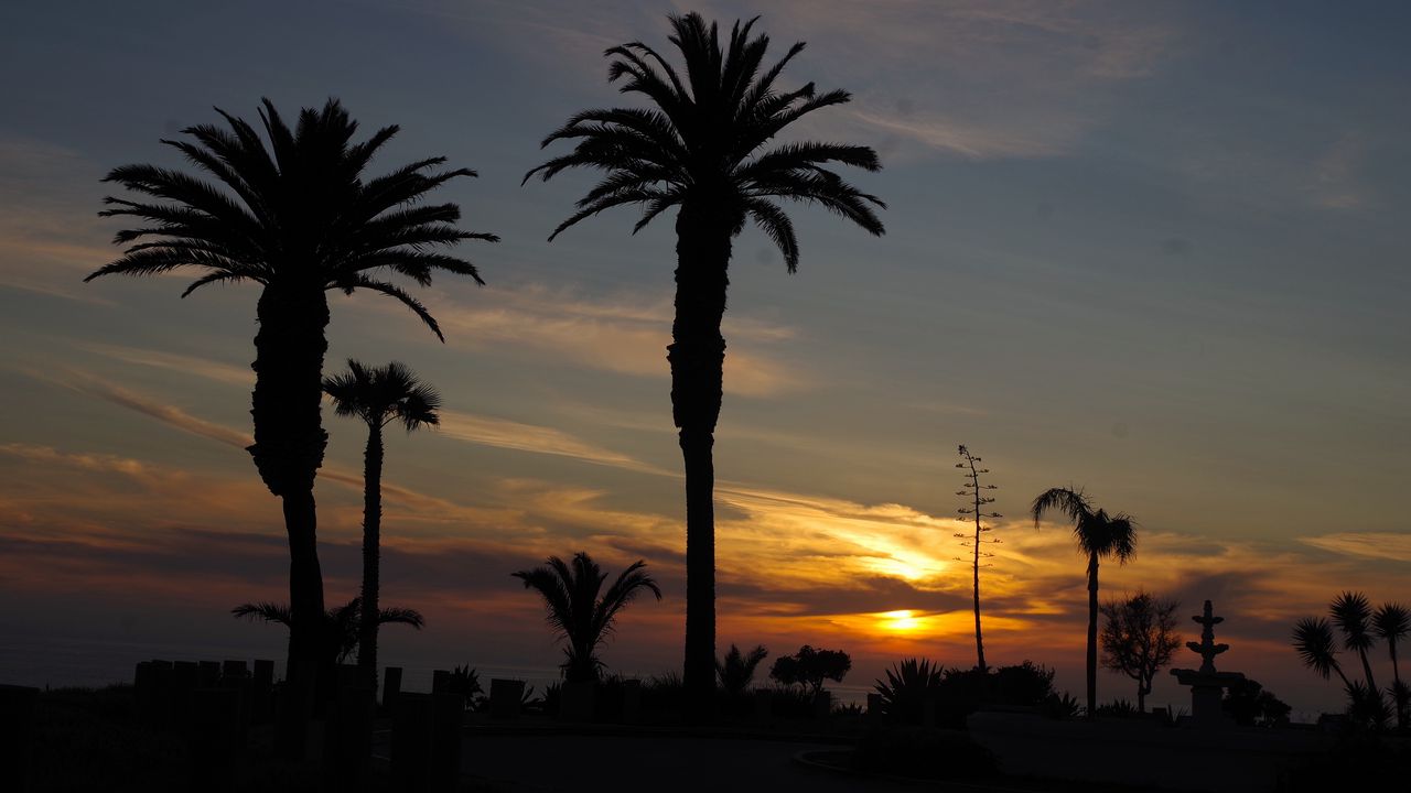 Wallpaper palm trees, silhouettes, dawn, clouds, dark, tropics