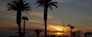Preview wallpaper palm trees, silhouettes, dawn, clouds, dark, tropics