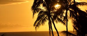 Preview wallpaper palm trees, silhouettes, sea, tropics, sunset