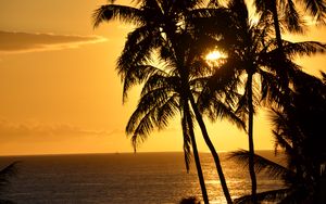 Preview wallpaper palm trees, silhouettes, sea, tropics, sunset