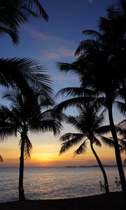 Preview wallpaper palm trees, silhouettes, sea, sunset, tropics