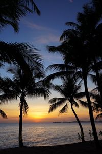 Preview wallpaper palm trees, silhouettes, sea, sunset, tropics