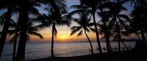 Preview wallpaper palm trees, silhouettes, sea, sunset, tropics