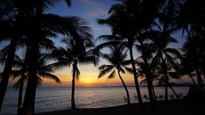 Preview wallpaper palm trees, silhouettes, sea, sunset, tropics