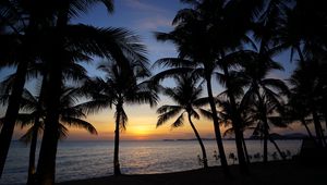 Preview wallpaper palm trees, silhouettes, sea, sunset, tropics