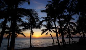 Preview wallpaper palm trees, silhouettes, sea, sunset, tropics