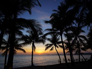 Preview wallpaper palm trees, silhouettes, sea, sunset, tropics