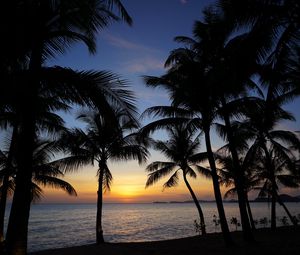 Preview wallpaper palm trees, silhouettes, sea, sunset, tropics