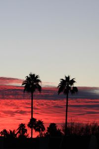 Preview wallpaper palm trees, silhouettes, sky, sunset