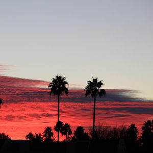 Preview wallpaper palm trees, silhouettes, sky, sunset