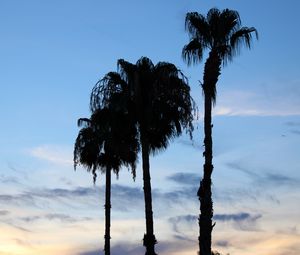 Preview wallpaper palm trees, silhouettes, trees, clouds, sky