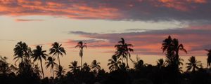 Preview wallpaper palm trees, silhouettes, tropics, evening