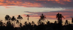 Preview wallpaper palm trees, silhouettes, tropics, evening