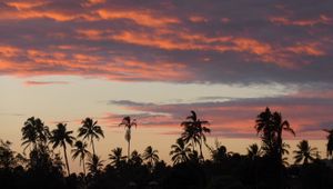 Preview wallpaper palm trees, silhouettes, tropics, evening