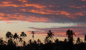 Preview wallpaper palm trees, silhouettes, tropics, evening