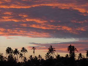 Preview wallpaper palm trees, silhouettes, tropics, evening