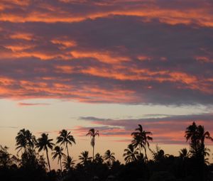 Preview wallpaper palm trees, silhouettes, tropics, evening