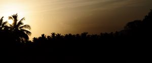 Preview wallpaper palm trees, silhouettes, twilight, dark