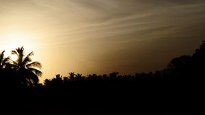 Preview wallpaper palm trees, silhouettes, twilight, dark