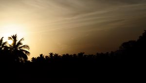 Preview wallpaper palm trees, silhouettes, twilight, dark