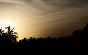 Preview wallpaper palm trees, silhouettes, twilight, dark