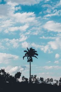 Preview wallpaper palm, trees, sky, clouds