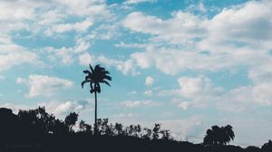 Preview wallpaper palm, trees, sky, clouds