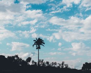 Preview wallpaper palm, trees, sky, clouds