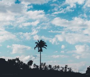 Preview wallpaper palm, trees, sky, clouds