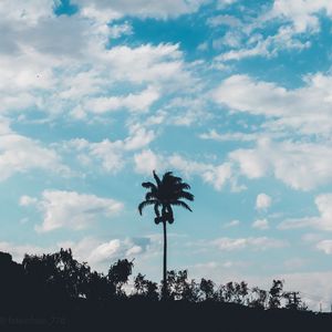 Preview wallpaper palm, trees, sky, clouds