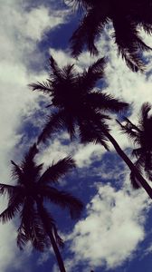 Preview wallpaper palm trees, sky, clouds, trees, tropics