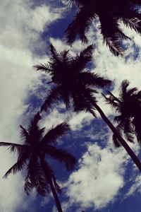 Preview wallpaper palm trees, sky, clouds, trees, tropics