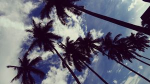 Preview wallpaper palm trees, sky, clouds, trees, tropics