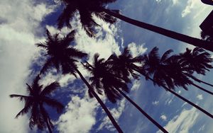 Preview wallpaper palm trees, sky, clouds, trees, tropics