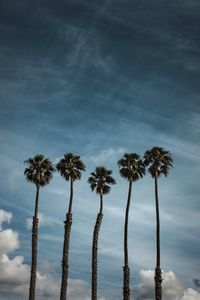 Preview wallpaper palm trees, sky, clouds, tropics