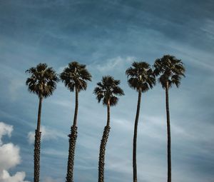 Preview wallpaper palm trees, sky, clouds, tropics