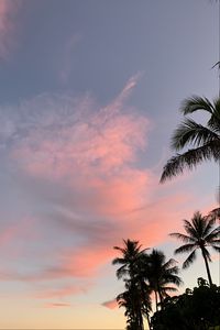 Preview wallpaper palm trees, sky, clouds, dusk