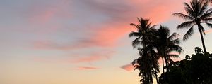 Preview wallpaper palm trees, sky, clouds, dusk