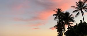 Preview wallpaper palm trees, sky, clouds, dusk