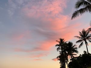 Preview wallpaper palm trees, sky, clouds, dusk