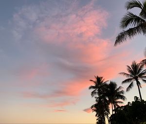 Preview wallpaper palm trees, sky, clouds, dusk