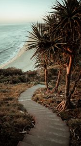 Preview wallpaper palm trees, stairs, ocean