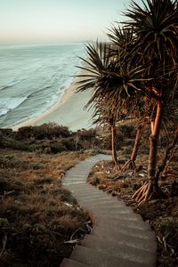 Preview wallpaper palm trees, stairs, ocean