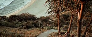 Preview wallpaper palm trees, stairs, ocean