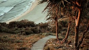 Preview wallpaper palm trees, stairs, ocean